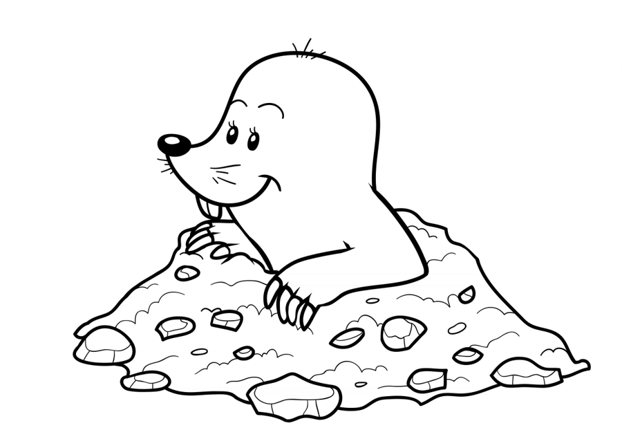 cartoon image of a mole coming out of a burrow