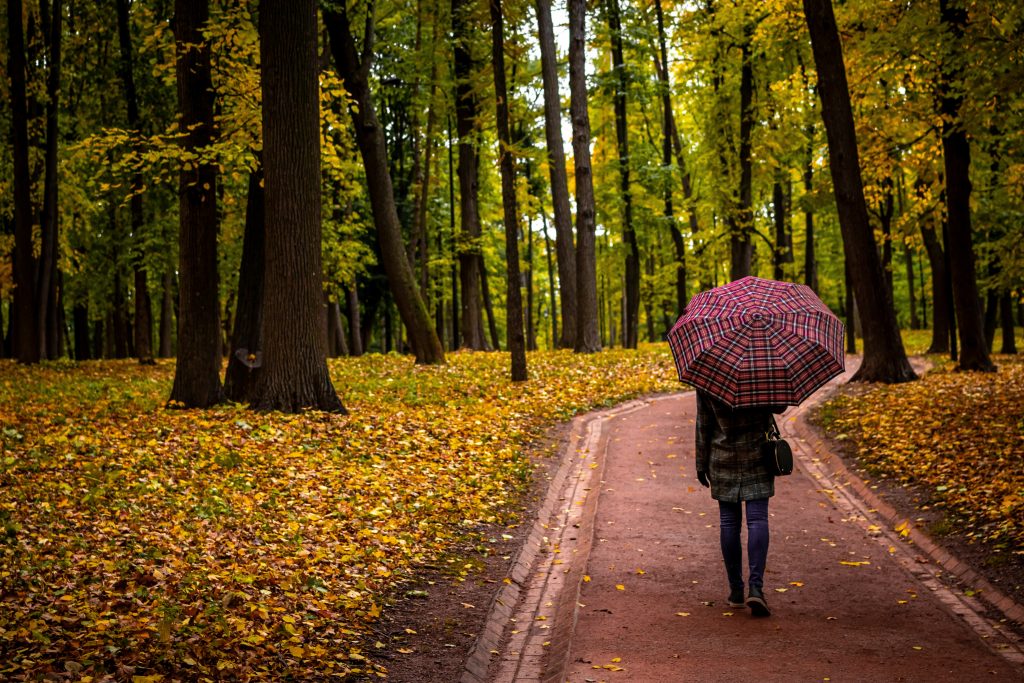 person walking along a forest trail with an umbrella