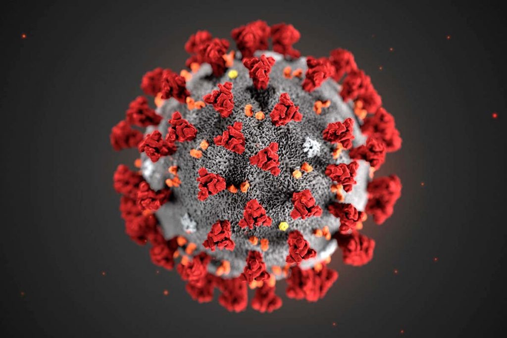 image of coronavirus molecule