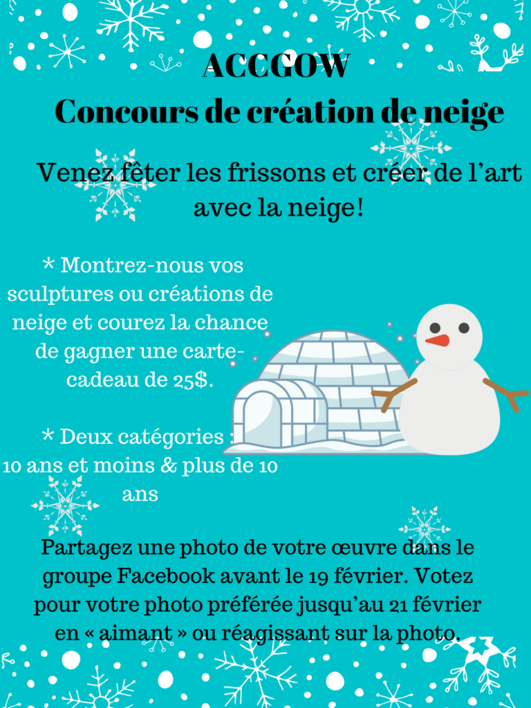 affiche du concours de créations de neige.