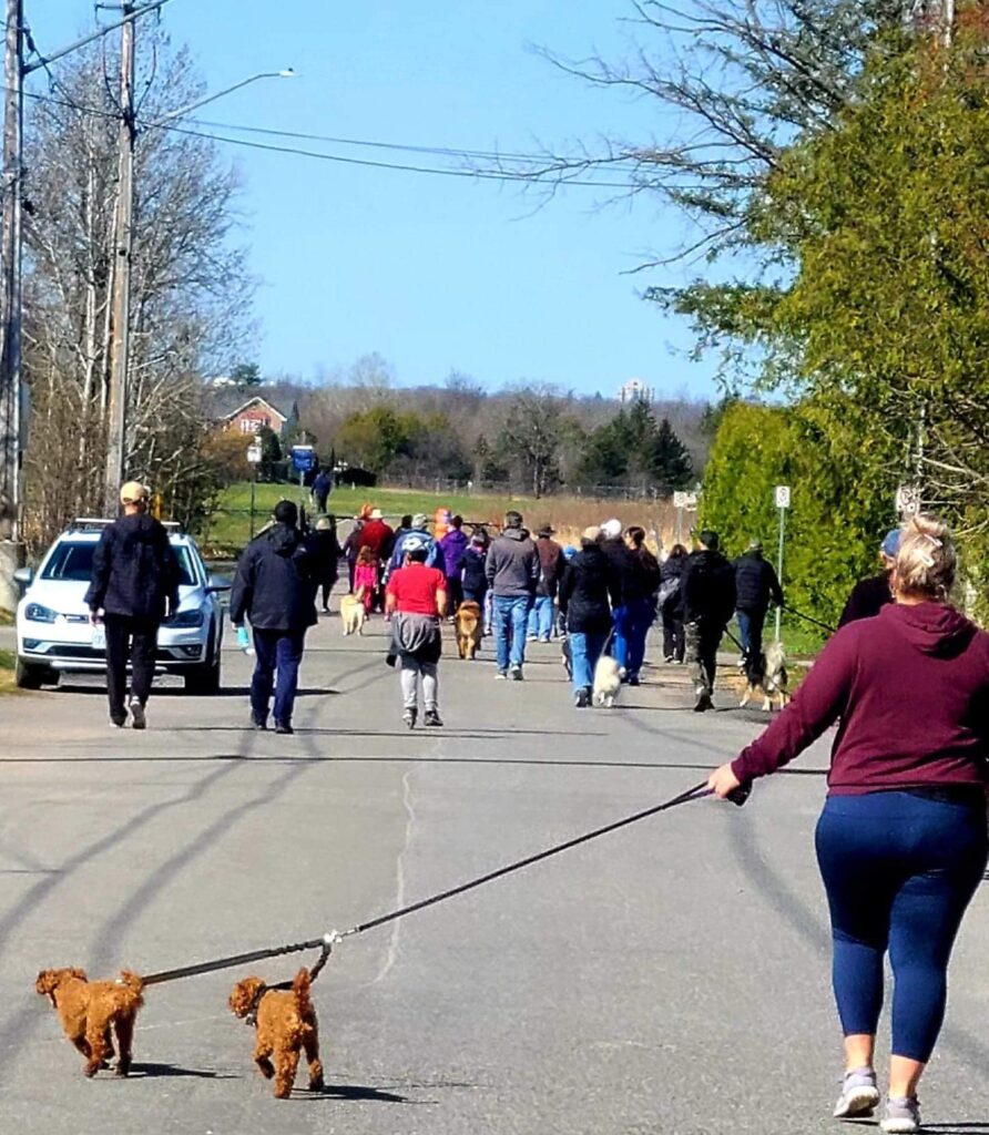 A group photo from the 2022 walkathon when the group was on Radisson walking towards the pathway.  In the photo you can see about 30 people and a number of dogs walking together.