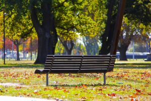a photo of a park bench in an urban park.