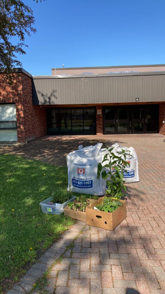 A photo of the supplies for the job including cubes of soil and three flats of plants.