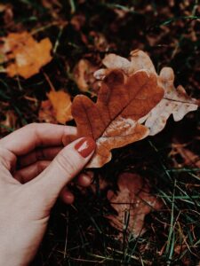Photograph of a hand with a nutmeg-coloured polished nail that is holding a fallen brown leaf. In the background, you can see more leaves on the ground in various yellows, oranges and browns.