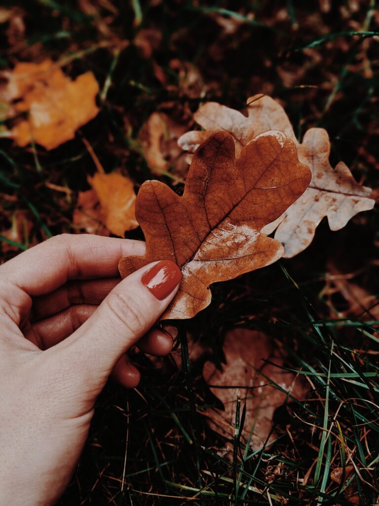 Photograph of a hand with a nutmeg-coloured polished nail that is holding a fallen brown leaf.  In the background, you can see more leaves on the ground in various yellows, oranges and browns.